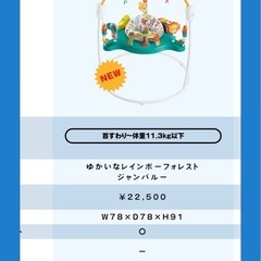 ほぼ未使用 フィッシャープライス　fisher price ゆかいなレインボーフォレストジャンパルーの画像