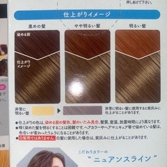 ヘアカラー 3点セットの画像