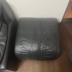快適で美しいソファを必要とする人なら誰でもそれを手に入れることができます。の画像