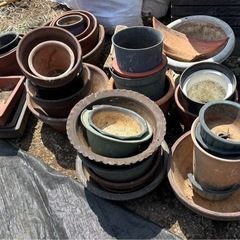 植木鉢　　無料　0円の画像