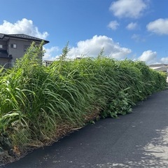 〜バイト募集中2025年９月から開始【日払い可】〜の画像