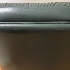 カリモク　チターノの画像