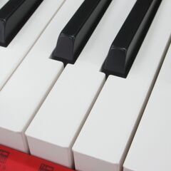 CASIO カシオ casio tone キーボード CT-S200 G-2333の画像