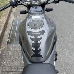 ヤマハ　YAMAHA ZEAL FZR250 EXUP フルエキゾースト マフラー装着　走行距離:16900kmの画像