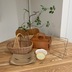 ランキングキーワードに紐づく投稿画像-観葉植物
