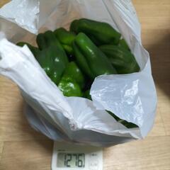 野津原産ピーマン約1.2キロ
