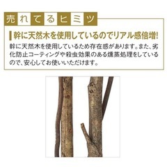 天然幹使用 フェイクグリーン ベンジャミン  の画像