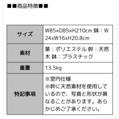 天然幹使用 フェイクグリーン ベンジャミン  の画像