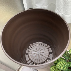 大きな植木鉢の画像