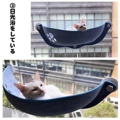 ネコ用ハンモック 窓取り付けタイプの画像