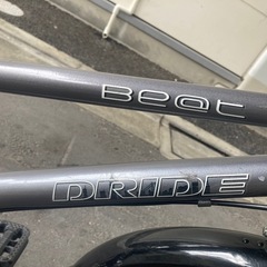 ドライドマウンテンバイクの画像