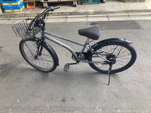 ドライドマウンテンバイク