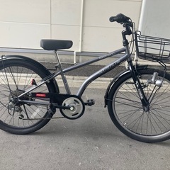 ドライドマウンテンバイクの画像