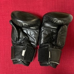 空手　組手　グローブ🥊ジュニア　小学生の画像