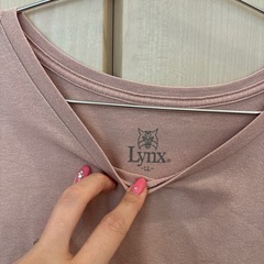 Tシャツレディース服の画像