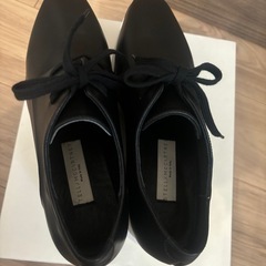 [新品未使用]ステラマッカートニー エリスシューズ 25cm Stella McCartneyの画像