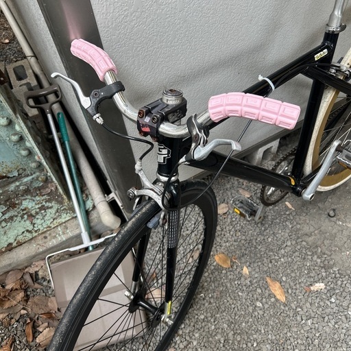 シングルピスト