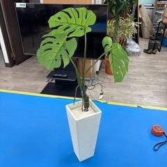 ダミー観葉植物の画像