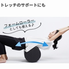セントラルスポーツ 監修 コアチェア　座って揺れるエクササイズ　ダイエットの画像