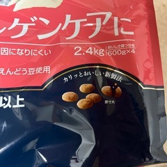 ドックフードファーストチョイスアレルゲンケア1歳から用譲ります！の画像