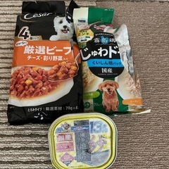 ちゅるビ〜　ちゅーるごはん他　色々まとめての画像