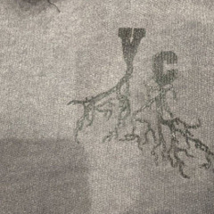 raf simons ラフシモンズ AW02 Virginia Creeper “Roots” パーカーの画像