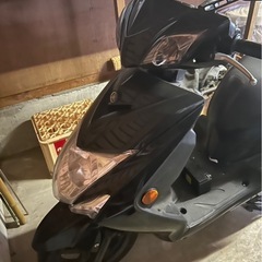 シグナス　3型の画像