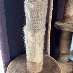 キャットタワーの画像