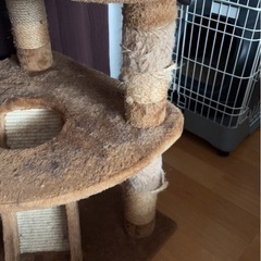 キャットタワーの画像