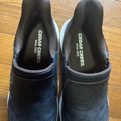 スパットシューズ 26.5cmの画像
