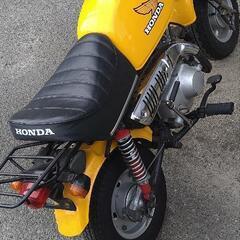ホンダ　ゴリラ　z50j ボアアップ済の画像