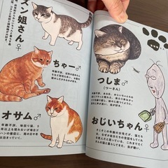 俺、つしま　漫画　コミック　猫の画像