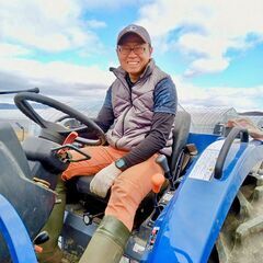 【渡航費・寮付き🏠なので全国からチャレンジ可能！】ミニトマトの収穫・栽培サポートバイトの画像