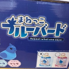 ジャンク品でも、近づくと歌う鳥の画像