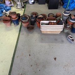 引き取りに来てくれる方無料！植木鉢の画像