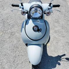🛵 ホンダ ジョルノ 2025年式  自賠責1年込み 原付き スクーターの画像