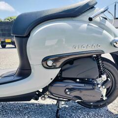 🛵 ホンダ ジョルノ 2025年式  自賠責1年込み 原付き スクーターの画像