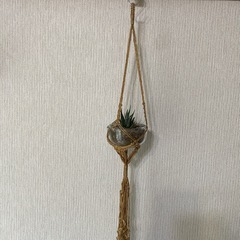 十二の巻の画像