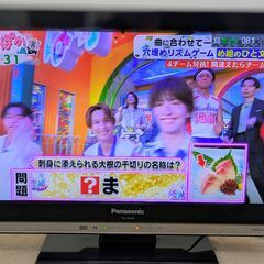 Panasonic テレビ VIERA [TH-L19X50] 19V型の画像