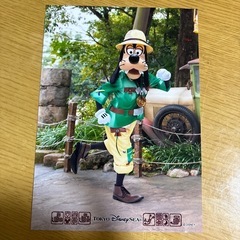 ディズニー　写真の画像