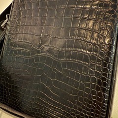 【美品】ワニ革　クロコ　ショルダーバッグの画像
