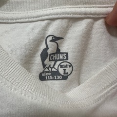 チャムス　Tシャツの画像