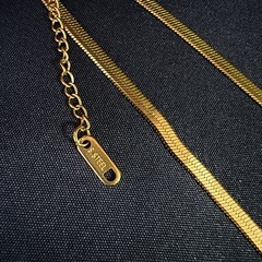N39*《ステンレス》*ゴールドネックレス×レディースの画像
