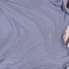 【追加】Tシャツ（Lサイズ）の画像