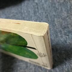 英語絵本の画像