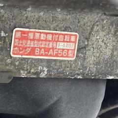 (お話し中)ホンダ ディオAF56の画像