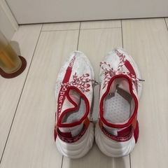 靴の画像