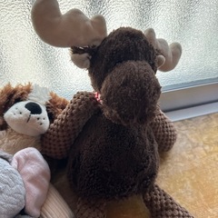 ぬいぐるみ　セット　buddy の画像