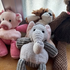 ぬいぐるみ　セット　buddy の画像