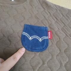EDWIN子供服の画像